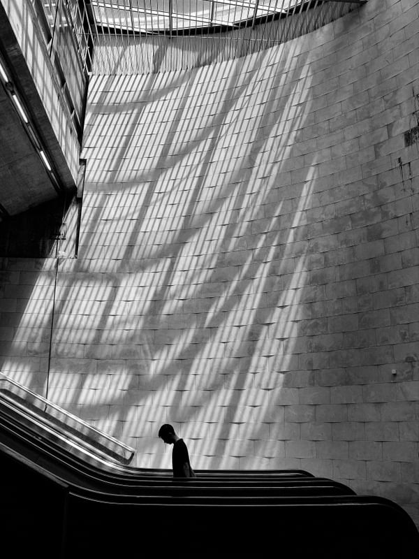 SOLITUDE 19