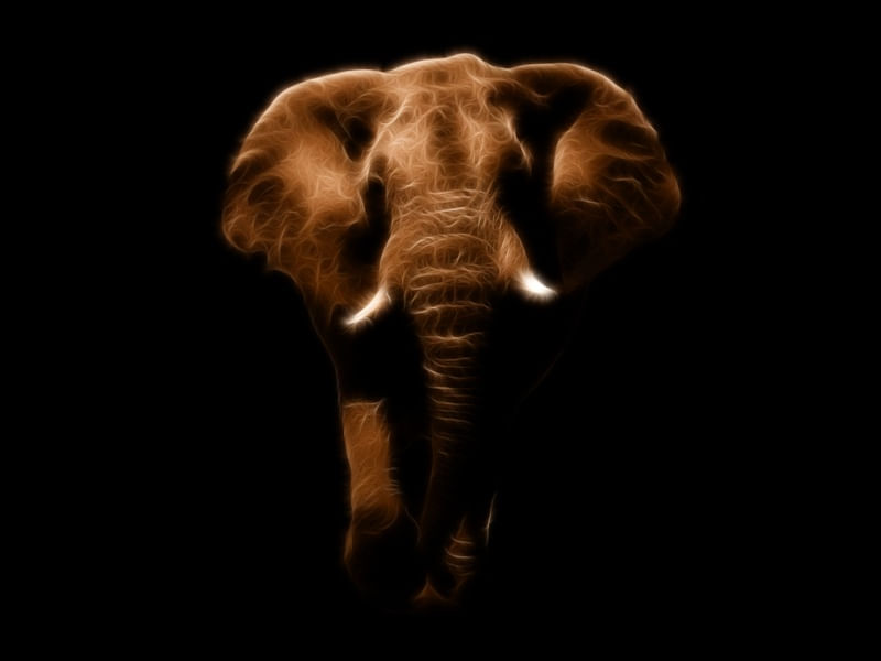 ELEFANTE - I0001 PS EX1
