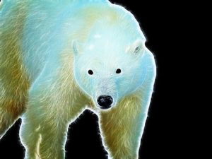 URSO POLAR - I0003 PS EX1