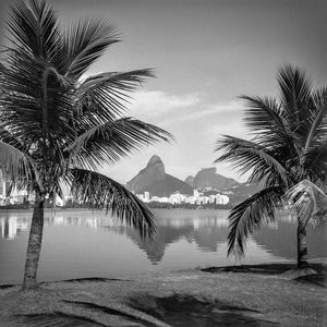 MORRO, LAGOA E COQUEIROS