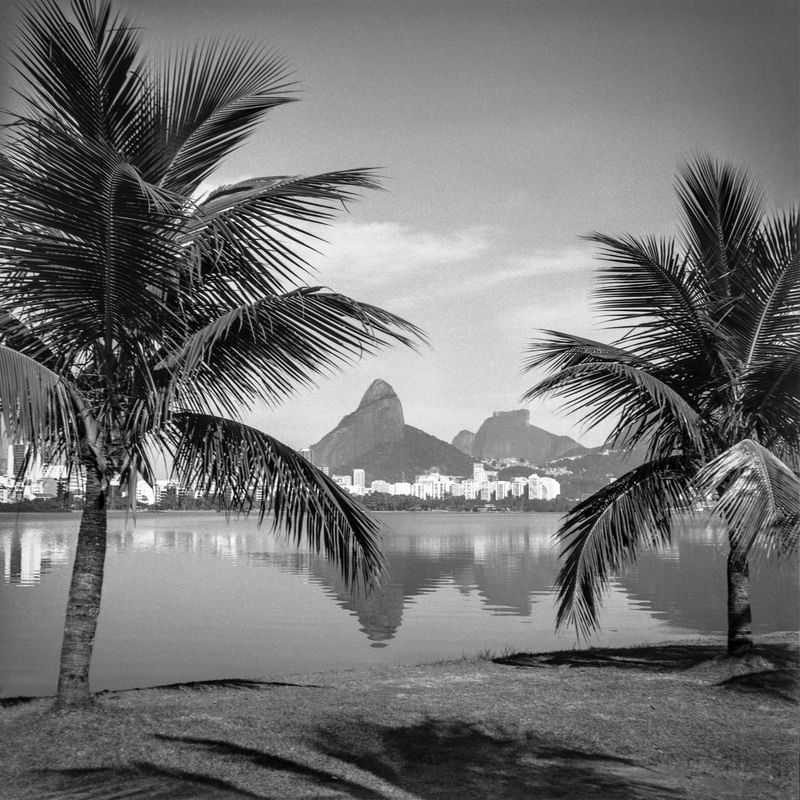 MORRO, LAGOA E COQUEIROS