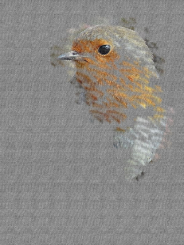EL PÁJARO