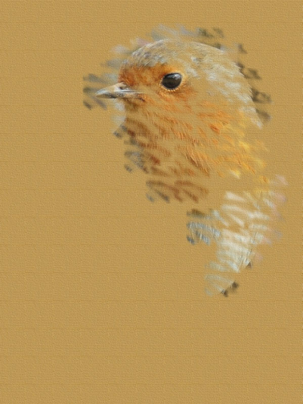 EL PÁJARO 2