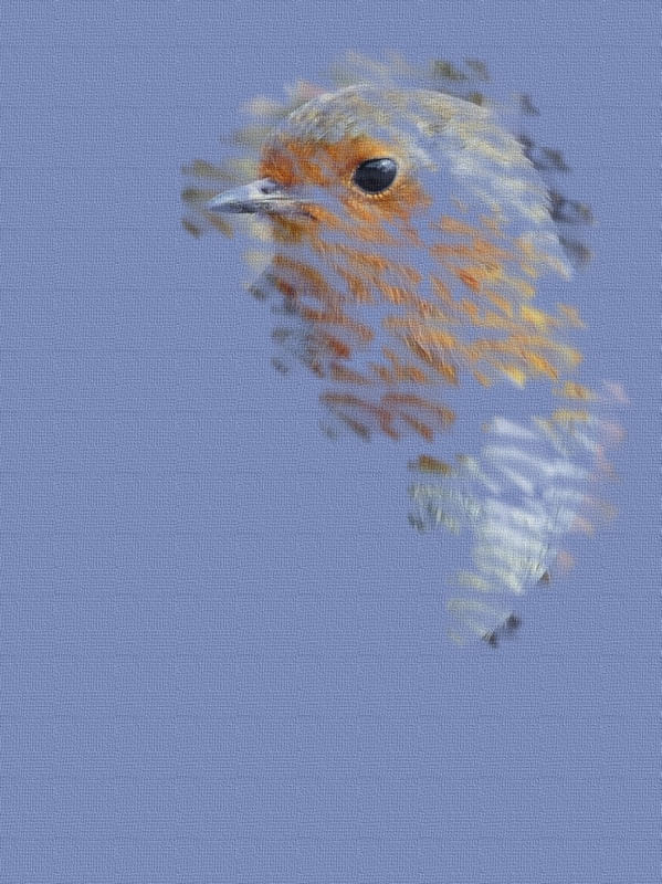 EL PÁJARO 3