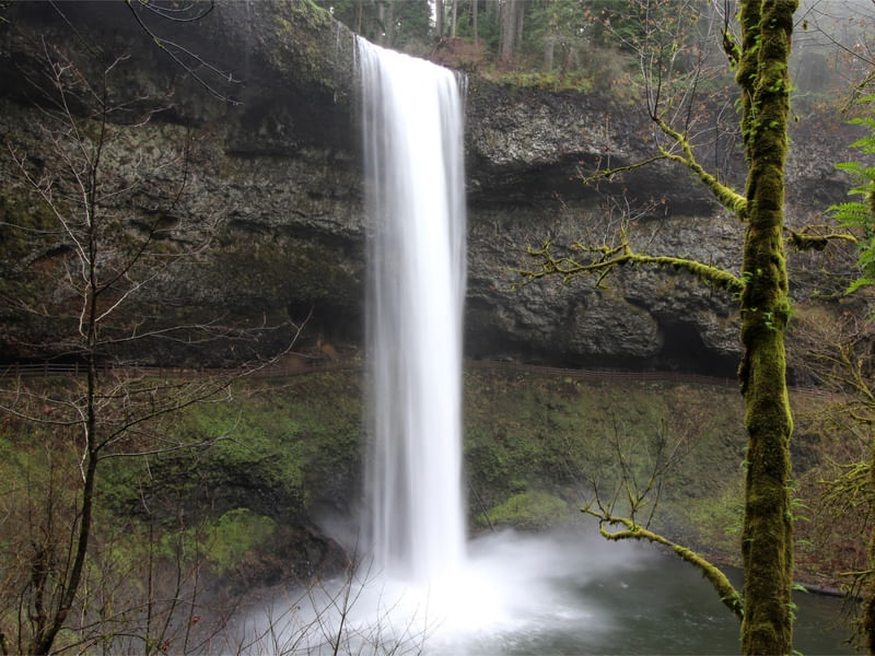 CACHOEIRA SILVER FALLS, EUA