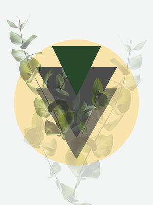 NORDIC LEAF