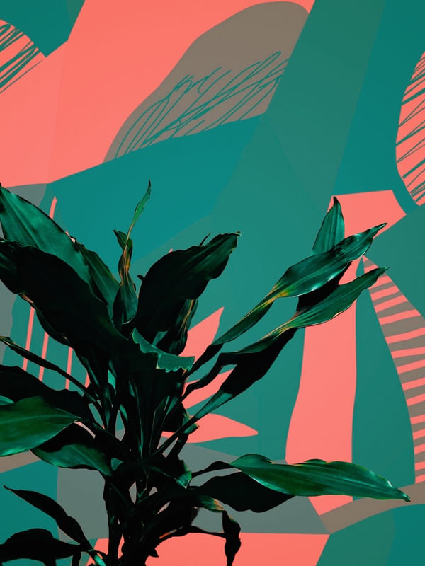 FLORAL ABSTRATO 2
