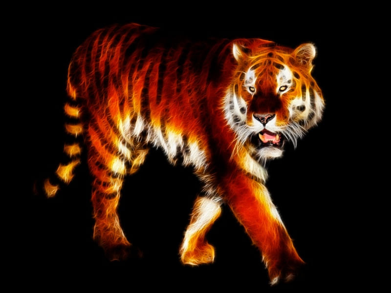 TIGRE - I0004 - FC PS EX1