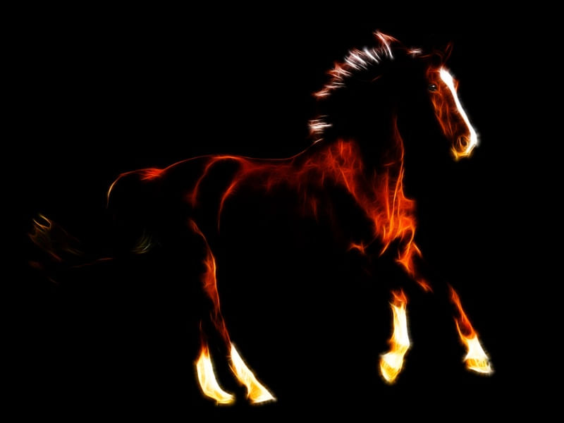 CAVALO - I0005 - FC PS EX1