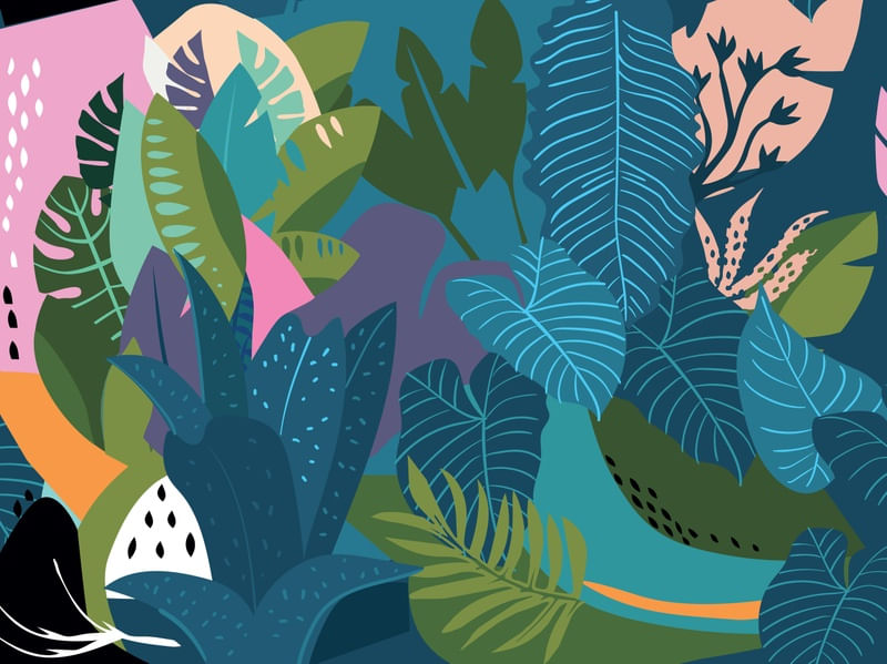 RAINFOREST ESTAMPA