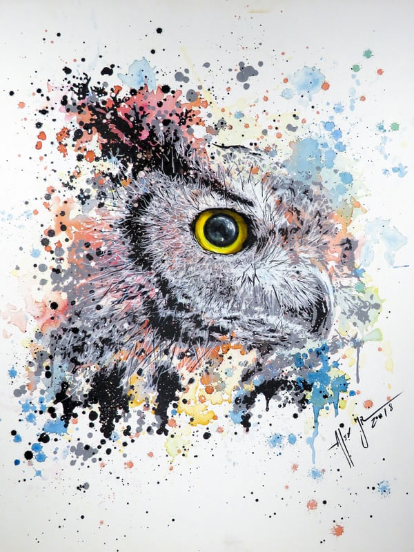 OLHOS DE CORUJA 08