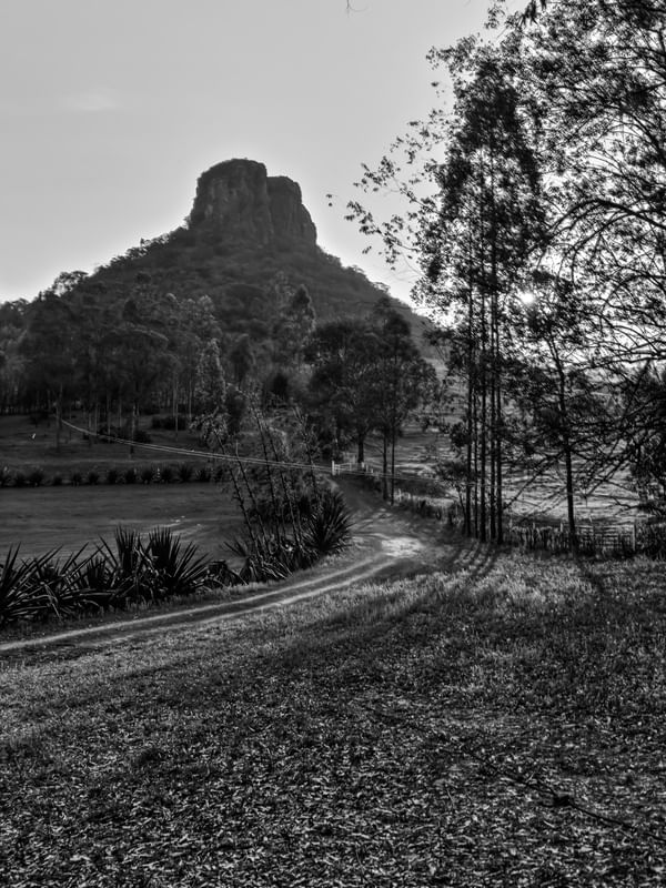 CUSCUZEIRO 12