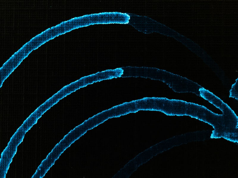 ABSTRACT CURVES (II)