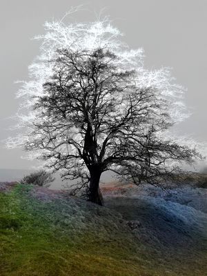IMAGINARY FRIEND - UK, 2018