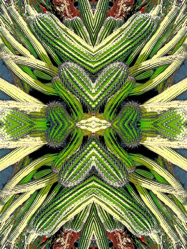 CACTACEAE_LANZAROTE - ESPAÑA, 2019