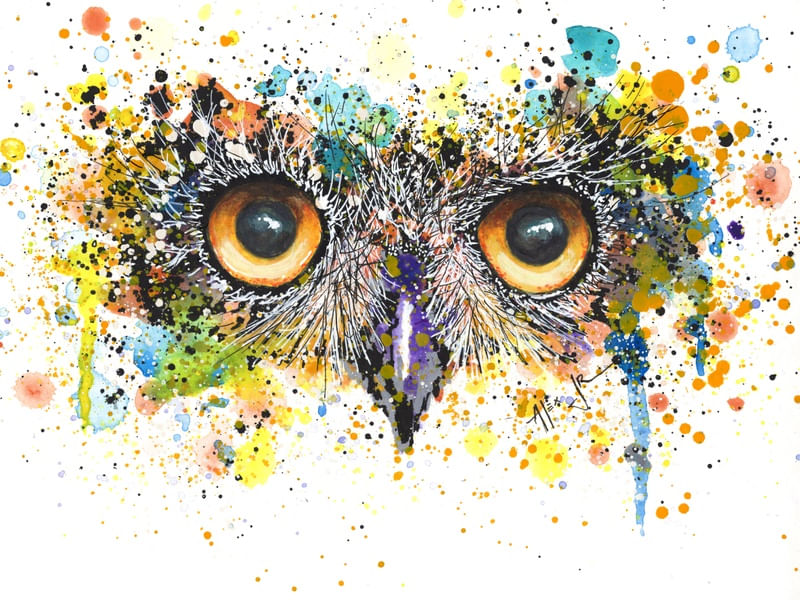 OLHOS DE CORUJA 13