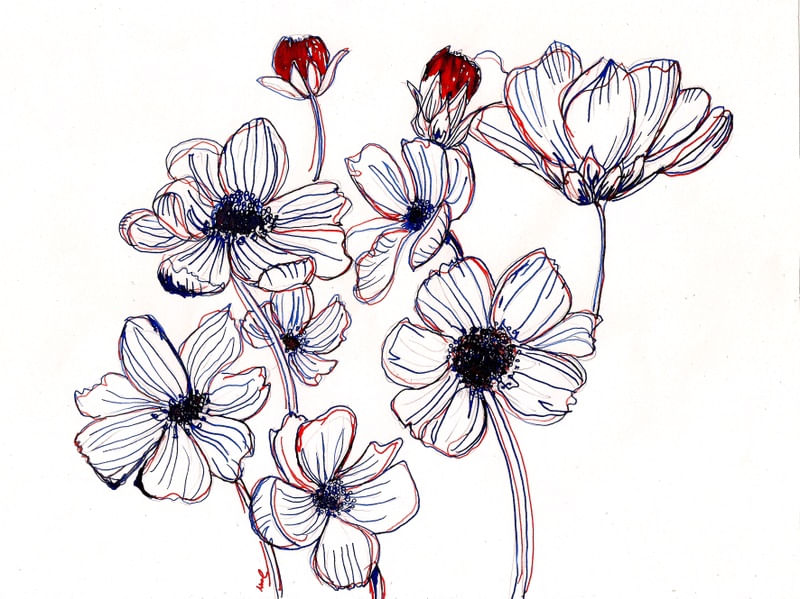 BIC FLOWERS