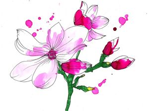 PINK FLOWER BLOOM