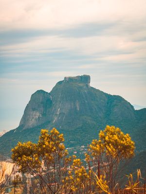 GÁVEA E GRAVETO