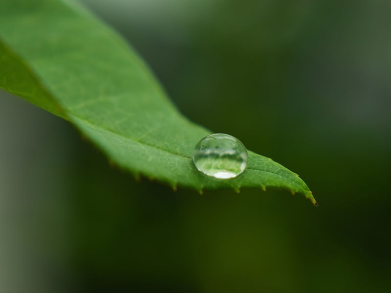 A ULTIMA GOTA