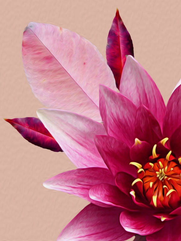DOCE FLOR