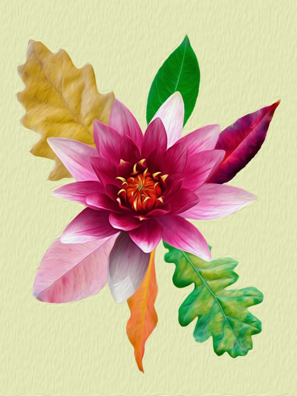 DOCE FLOR II