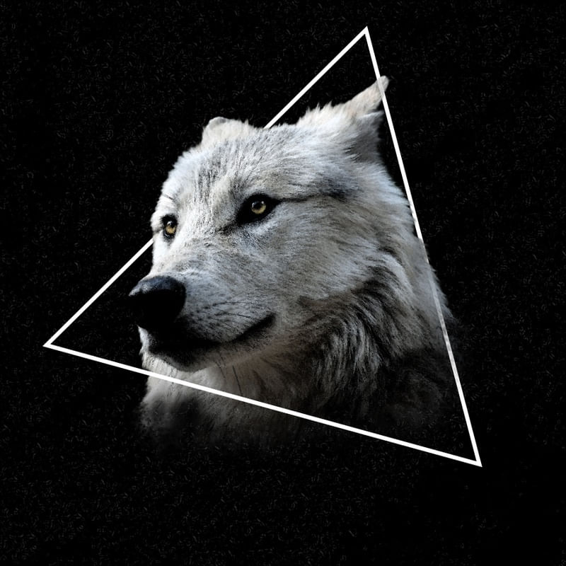 GEOWOLF