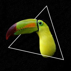 GEOTUCANO
