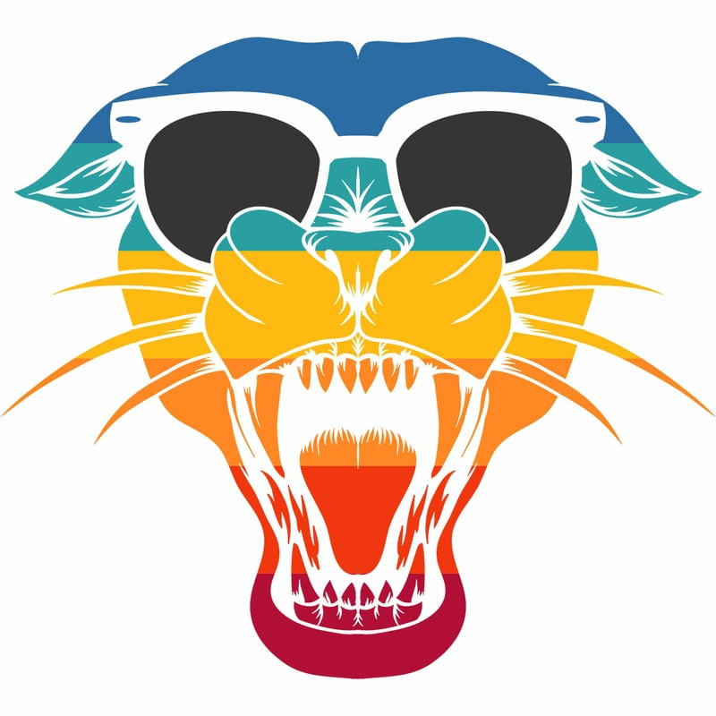PUMA DEGRADÊ