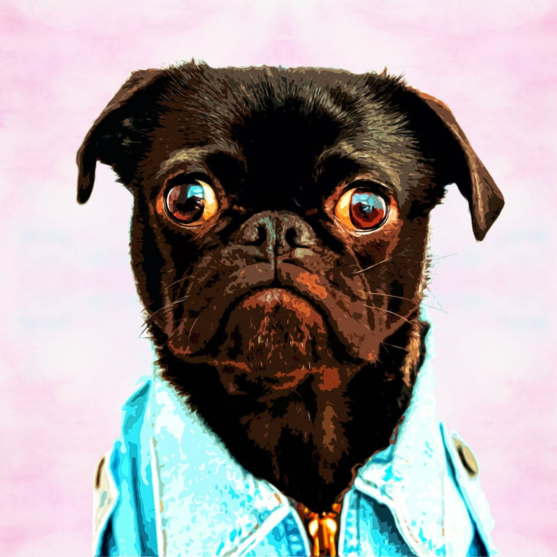 PUG FASHION