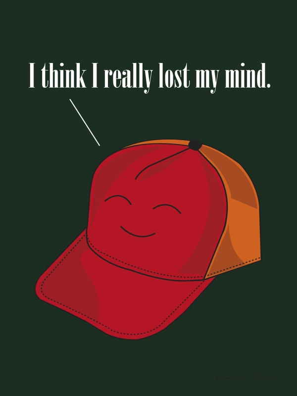 FUNNY HAT