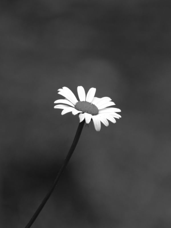 PEQUENINA