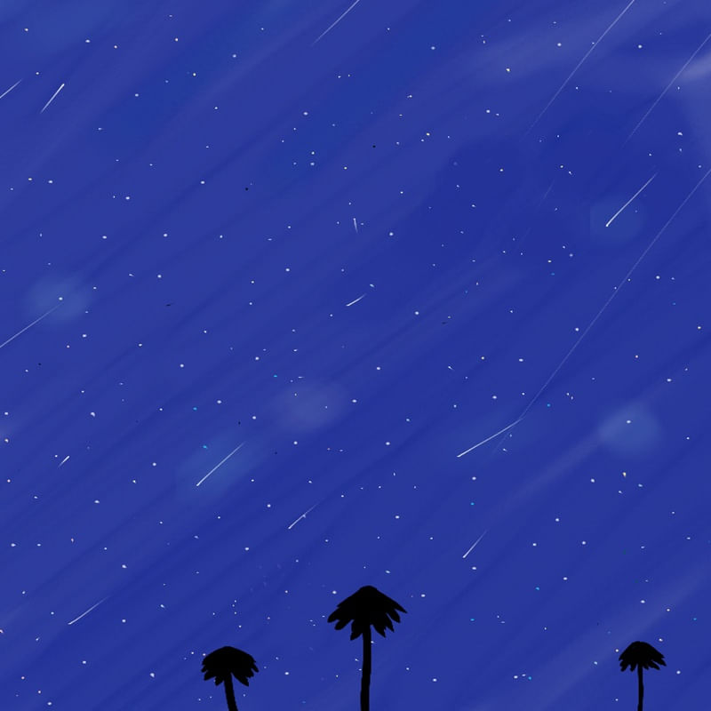 ESTRELAS DA NOITE