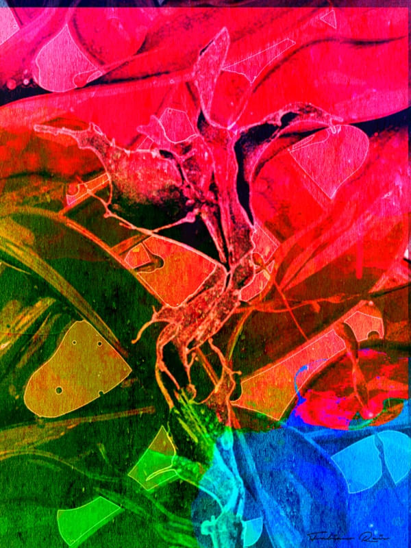 SEMENTE ABSTRATA