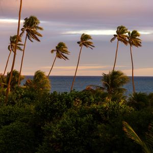 FIM DE TARDE EM GUARAJUBA