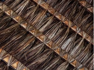 TEXTURAS DE GUARAJUBA 3