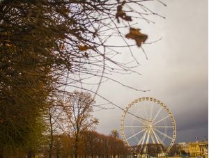 RODA GIGANTE EM PARIS