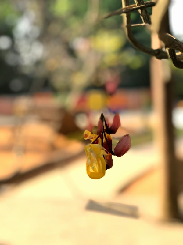 PRIMAVERA Q BELEZA