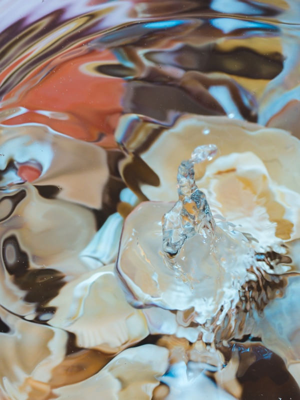 ABSTRACT SHELLS