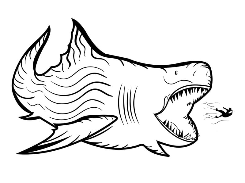 MEGALODONTE