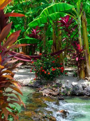 PARADISE I