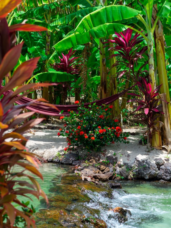 PARADISE I