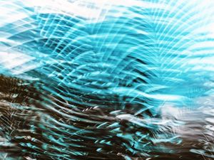 FOLHAS EM MOVIMENTO