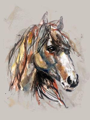 CAVALO AQUARELA