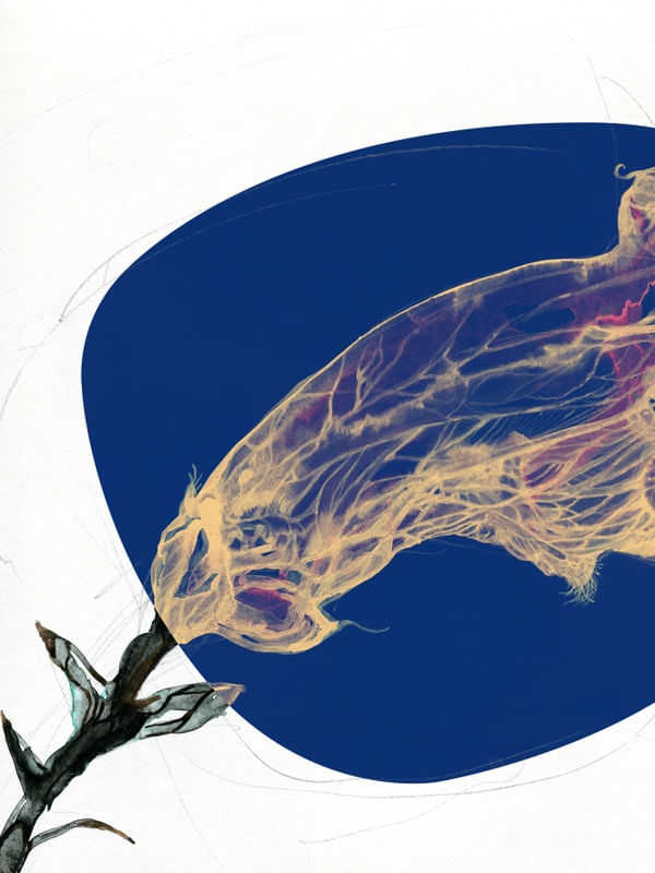 FLORA AMEAÇADA DIPTICO I