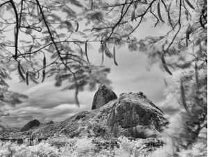 MIRANTE DO PASMADO - PAISAGEM