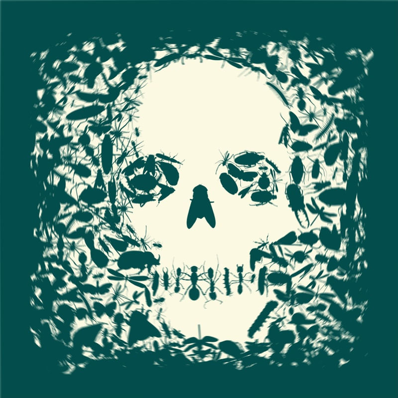 GREEN SKULL BUGS