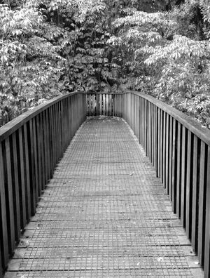 PONTE SEM FIM