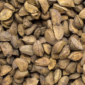 CASTANHAS (Q)