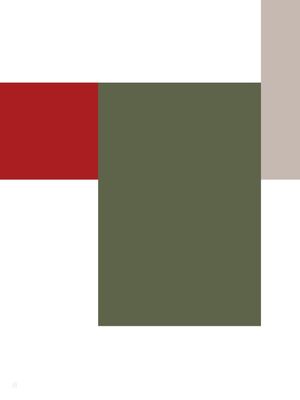 VERMELHO COMO PONTO DE PARTIDA 11
